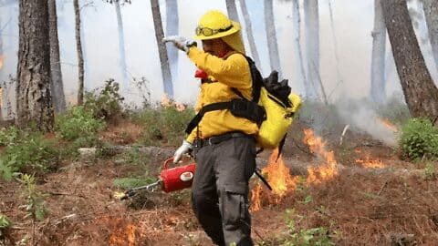 incendios 