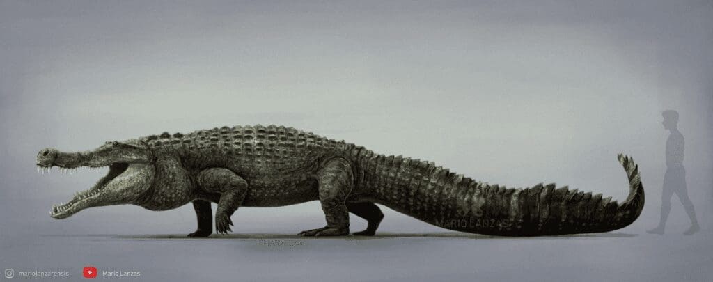 Deinosuchus 