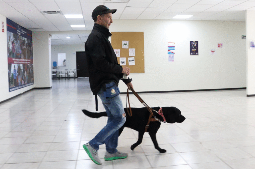 perro