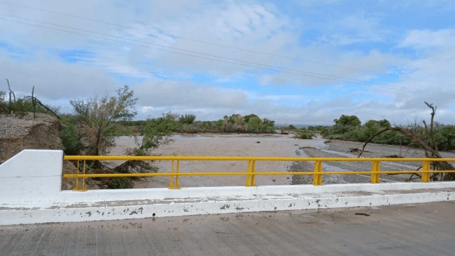 puentes 