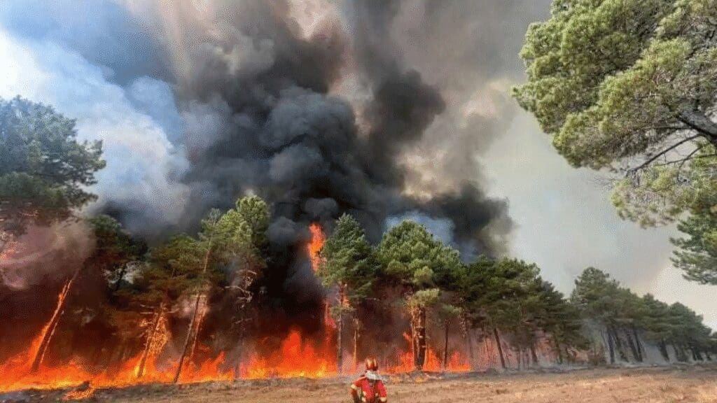 Incendios 