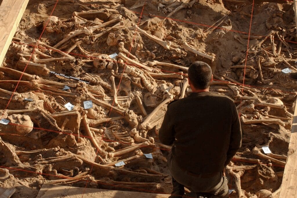 El ADN del Ejército de Napoleón revela nuevas bacterias que habrían causado la muerte de miles de soldados