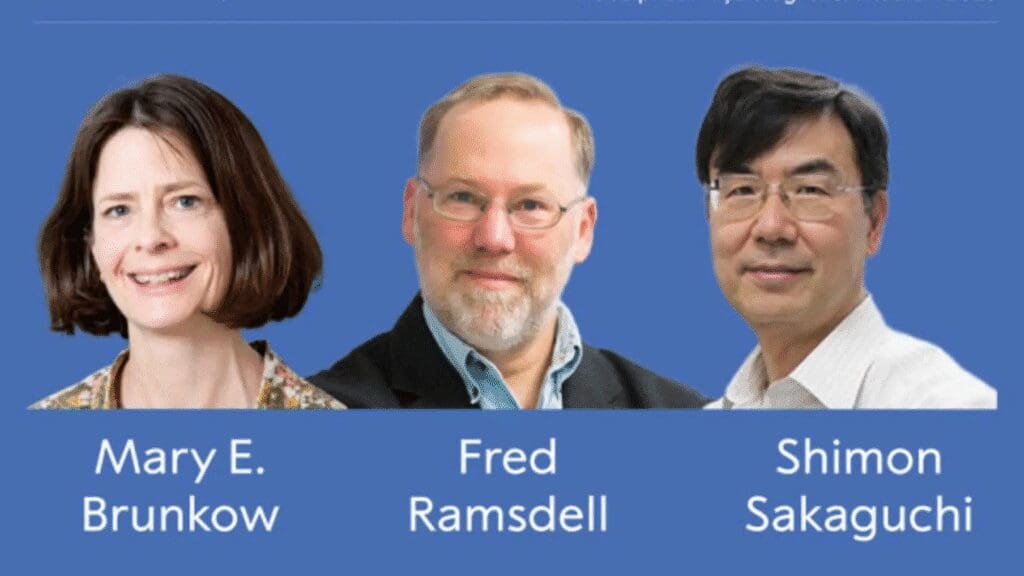 Tres científicos ganan el Nobel de Medicina 2025 por descubrir cómo el cuerpo evita atacarse a sí mismo