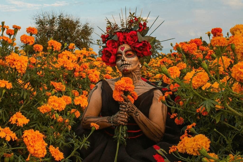 Campos de Chihuahua florecen con cempasúchil rumbo al Día de Muertos🏵️