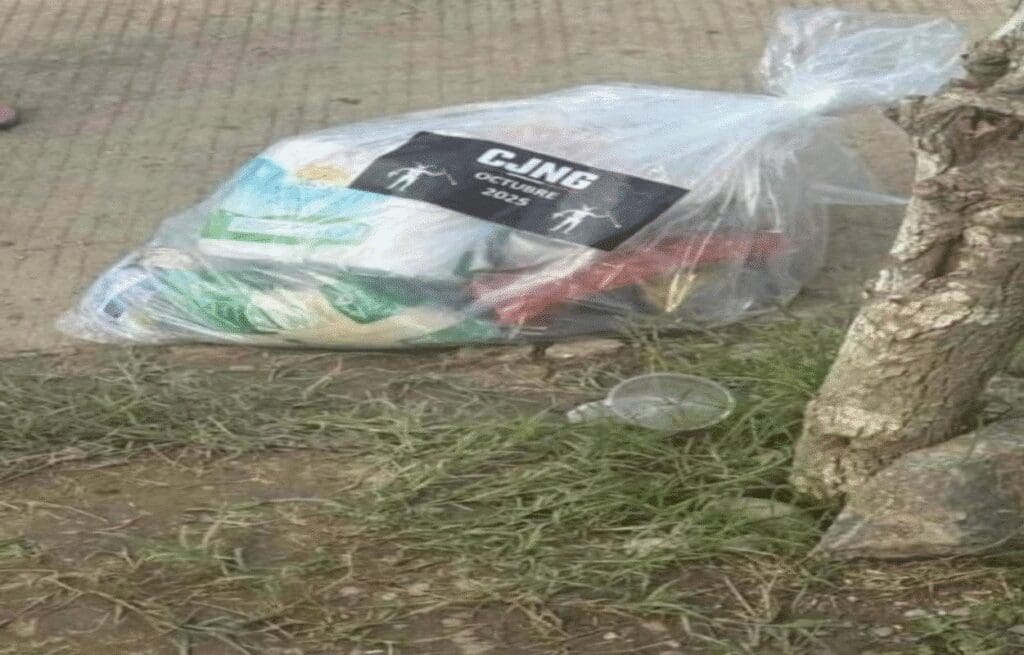 CJNG reparte despensas en Veracruz en medio de la emergencia por inundaciones