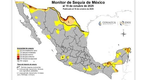 Disminuye la sequía en la Sierra de Chihuahua, pero aumenta en municipios del oriente