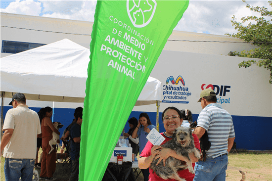 Gobierno Municipal brindará servicios veterinarios sin costo en Parque Bellavista