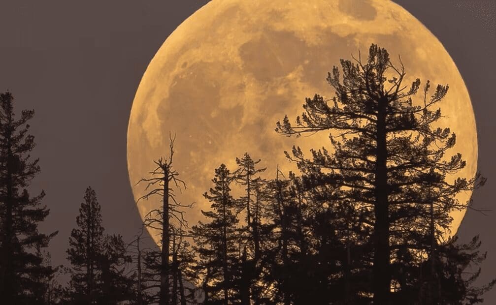 Superluna del castor y lluvia de Táuridas iluminarán el cielo esta semana