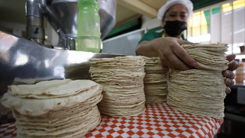 Promueven en Chihuahua acuerdo nacional para estabilizar el precio de la tortilla