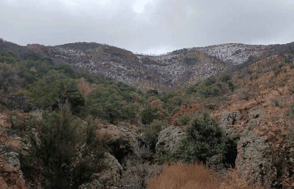 Majalca Registra la Temperatura Más Baja en Chihuahua con -4.5ºC