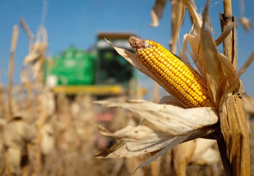 Importación Histórica: México Adquiere 40.7 Millones de Toneladas de Granos en Diez Meses