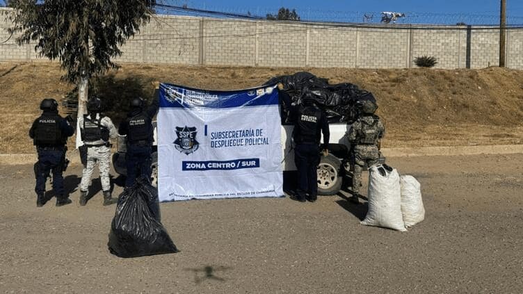 Destruyen narcoplantío y aseguran más de una tonelada de marihuana en Balleza