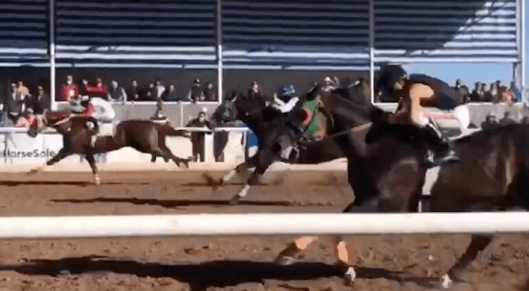 Suspenden permisos para peleas de gallos y carreras de caballos