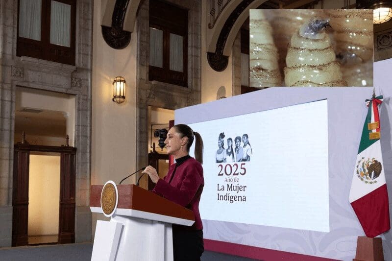 Estados Unidos condiciona apertura de frontera a operación de planta de mosca estéril