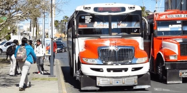 Proponen camiones pequeños para mejorar frecuencia del transporte público