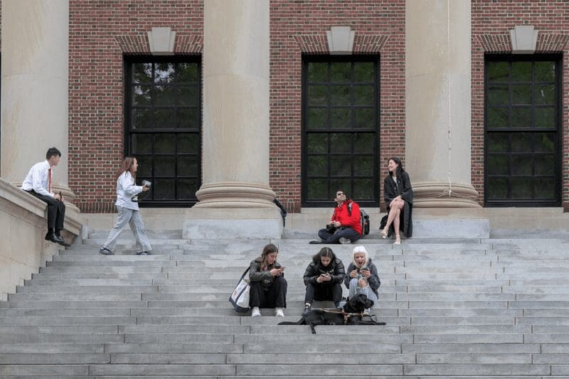 Informe interno de Harvard alerta sobre inflación de calificaciones, ausentismo y bajo compromiso académico entre los estudiantes.