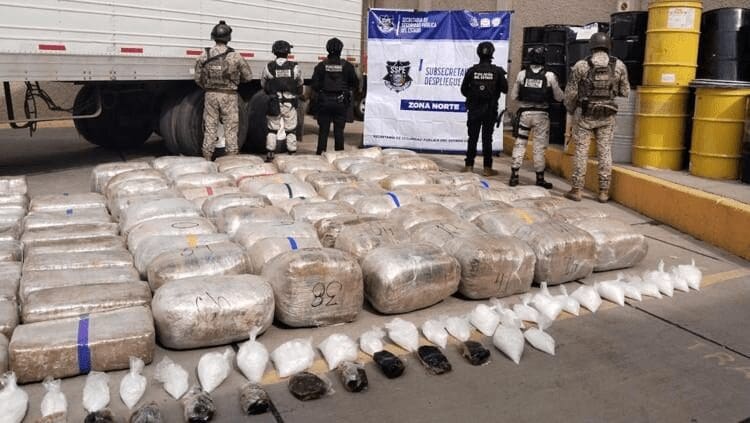 Autoridades decomisaron casi una tonelada de droga y detuvieron a un trailero en el punto de revisión de Precos.