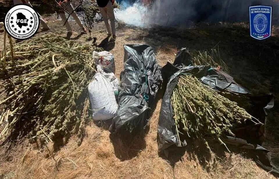 Autoridades aseguraron fusiles, cartuchos y más de 100 kilos de mariguana en operativos en Guerrero y Bocoyna.