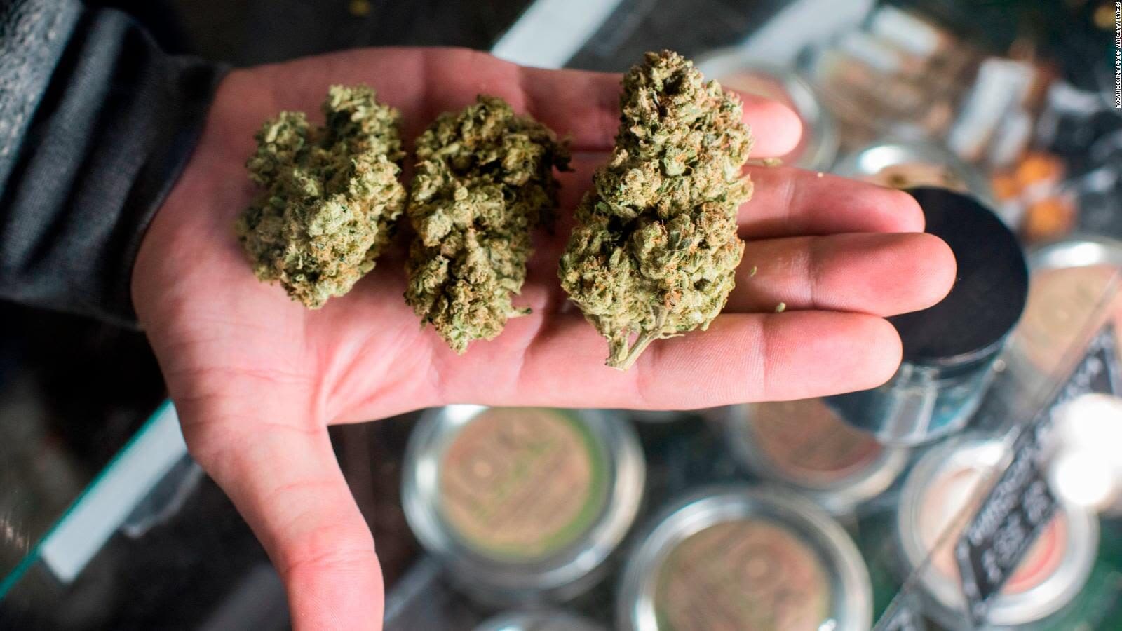 Uruguay evalúa permitir que turistas y extranjeros compren marihuana legal mientras aumentan las ventas en farmacias y se amplía la producción regulada.