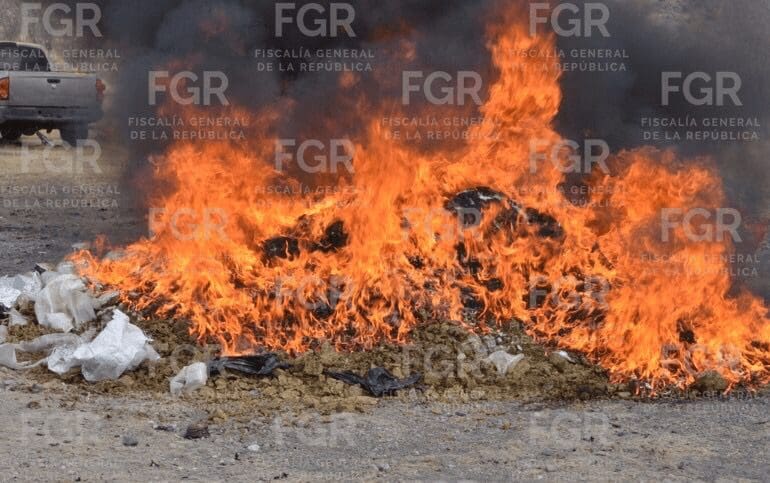 FGR incinera más de 640 kilos de droga asegurada en Chihuahua.