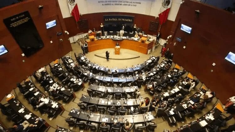 Senado autoriza ingreso de 19 Navy SEALs para entrenamiento en Campeche.