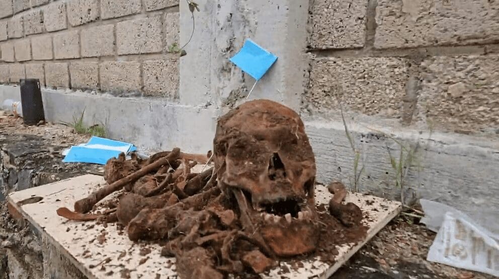 Informe ciudadano revela que cinco estados concentran más fosas clandestinas en México.
