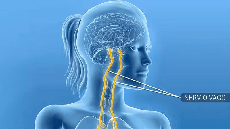 Un dispositivo aprobado por la FDA estimula el nervio vago y reduce la inflamación en pacientes con artritis reumatoide.