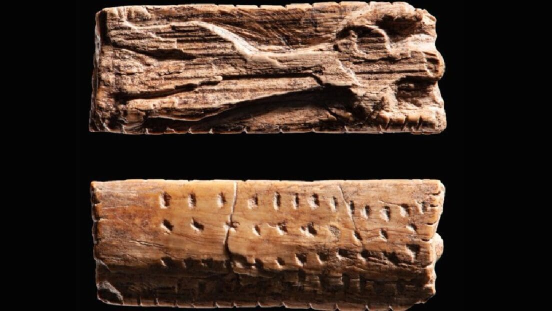 Estudio en Alemania revela que símbolos tallados hace 40 mil años podrían ser antecedente de la escritura protocuneiforme.