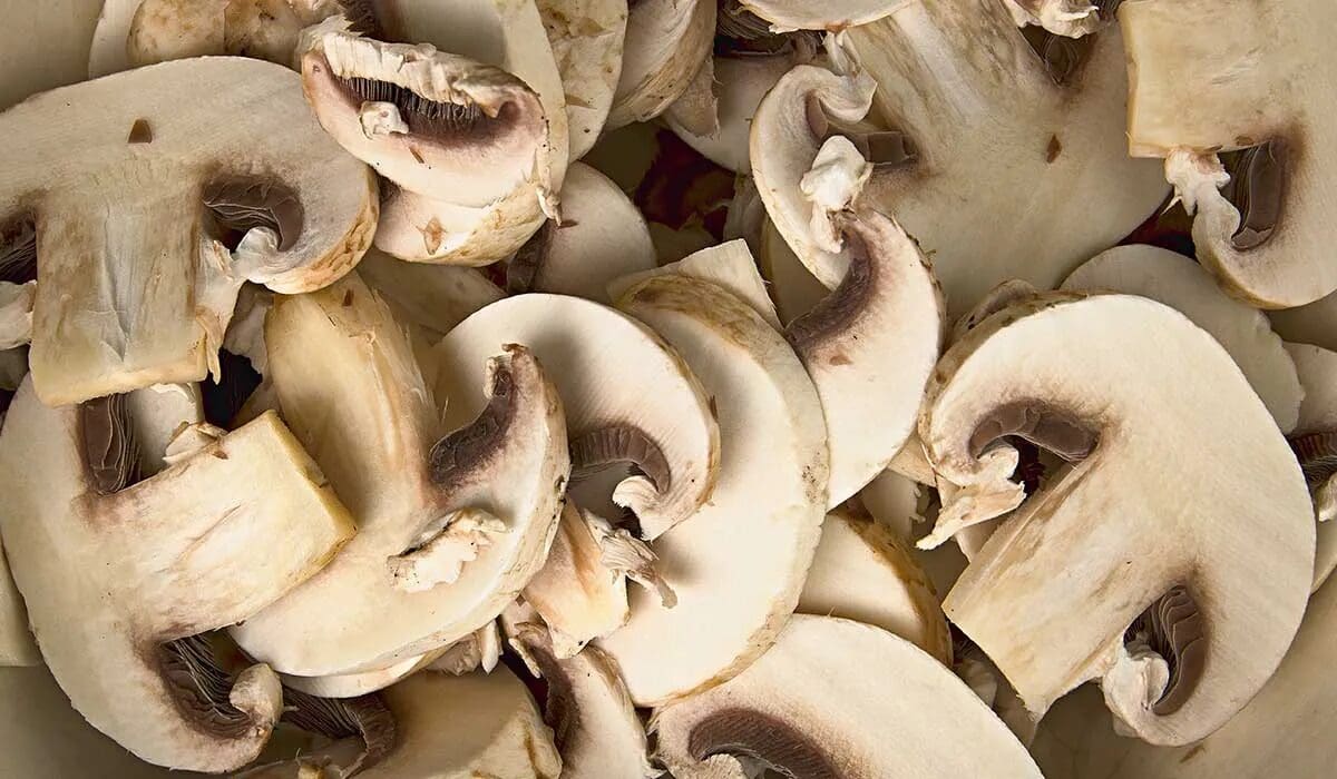 Descubre por qué los champiñones son únicos: fibra, antioxidantes y producción de vitamina D. Consejos de expertos para mejorar tu salud con setas.