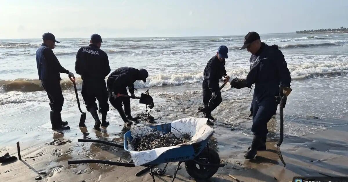 Gobierno de México recolecta 128 toneladas de crudo en el Golfo. Conoce las acciones de limpieza y el apoyo de 35 mdp para pescadores de Veracruz y Tabasco.