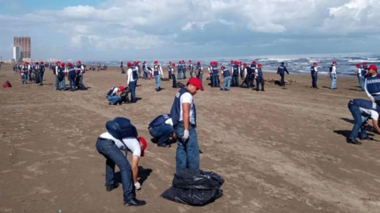 Desastre ambiental en el Golfo de México: Recolectan 825 toneladas de petróleo en playas de Tabasco y Veracruz. Conoce los detalles de la denuncia ante la FGR.