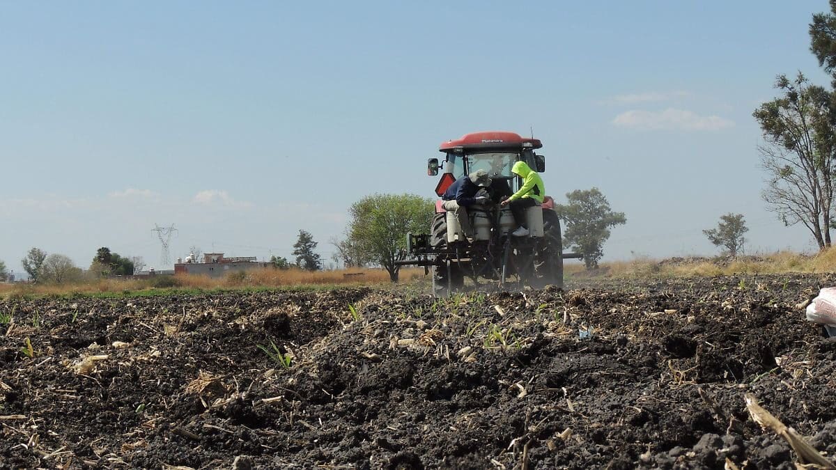 Fertilizantes suben más de 50% y afectan la rentabilidad del campo en México, presionando el precio de alimentos.