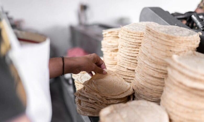 Profeco descarta un aumento de 2 a 4 pesos en el kilo de tortilla y reporta precios estables en 24.27 pesos. Conoce los datos del monitoreo nacional y la postura del gobierno federal ante la presión de costos.
