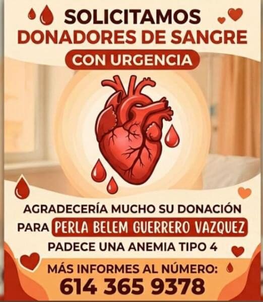 Urgen donadores de sangre de cualquier tipo para Perla Belem Guerrero Vázquez en el Hospital Morelos de Chihuahua. Conoce los requisitos y cómo ayudar.