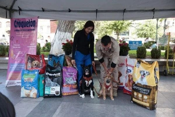 El Croquetón 2026 cierra en la Plaza de Armas de Chihuahua con un stand de 10:00 a 14:00 horas. Lleva croquetas o alimento para mascotas y recibe una planta a cambio. Conoce todos los detalles del cierre solidario.
