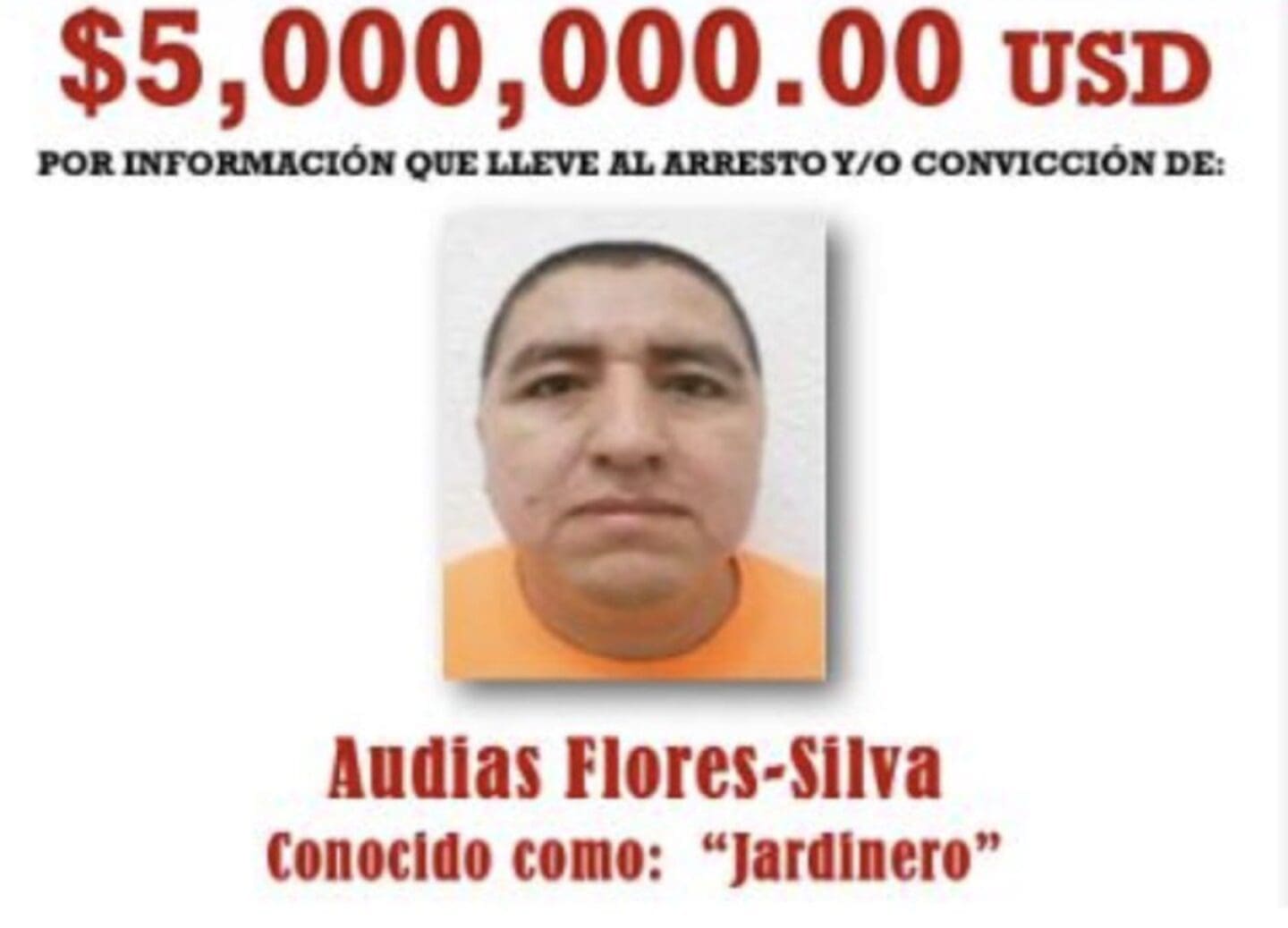 La Semar detuvo en Nayarit a El Jardinero, posible sucesor de El Mencho en el CJNG. Estados Unidos ofrecía 5 millones de dólares por su captura. Conoce todos los detalles de este operativo.
