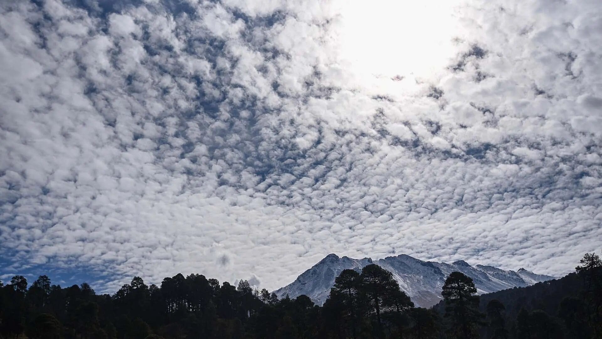 El Frente Frío número 48 llega a Chihuahua este jueves con máxima de 31°C en la capital, vientos de hasta 75 km/h en la sierra y probabilidad de lluvia con granizo en el norte del estado. Consulta el pronóstico completo aquí.
