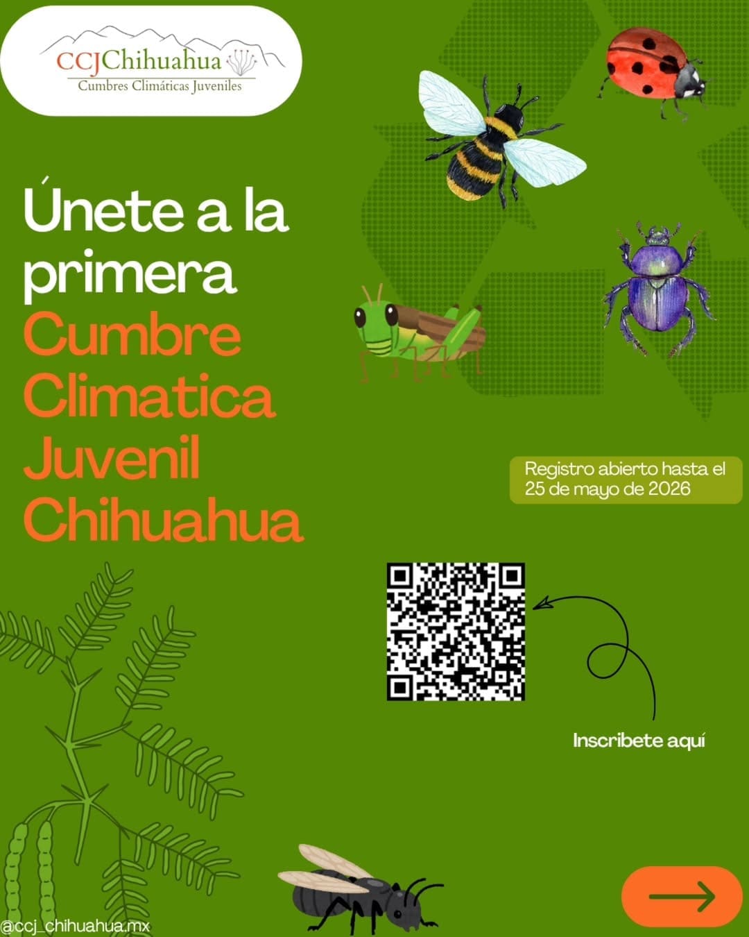 La primera Cumbre Climática Juvenil de Chihuahua se realizará del 18 al 20 de julio con cerca de 100 delegados de entre 18 y 30 años. Debatirán sobre territorio, biodiversidad y ciudades sostenibles en la Escuela de Antropología e Historia del Norte de México.

