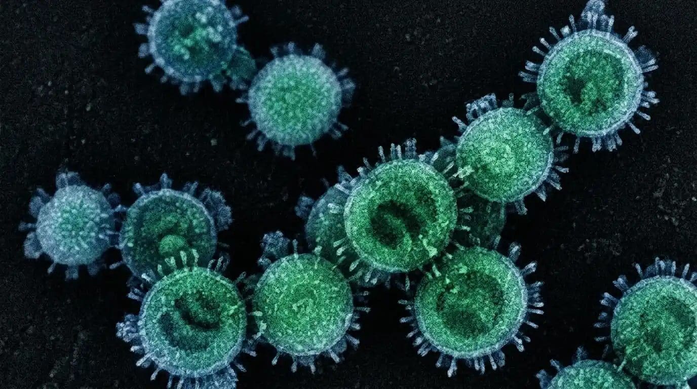 Expertos cuestionan los mensajes tranquilizadores de la OMS sobre el hantavirus cepa Andes tras el brote en el crucero Hondius. Un número de reproducción similar al covid, posible transmisión aérea e incubación de hasta 40 días encenden las alarmas.
