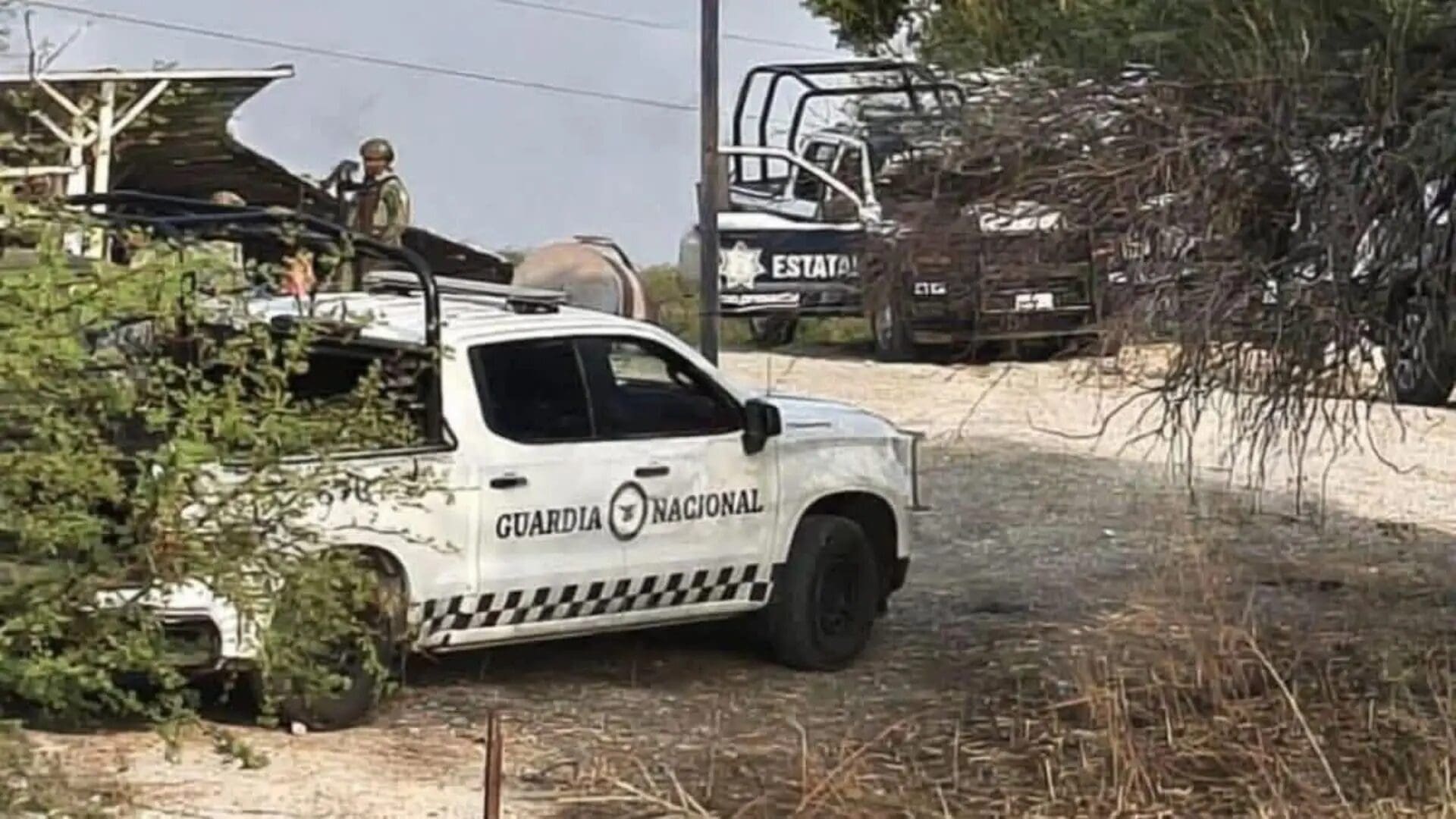 Diez personas fueron asesinadas dentro de una vivienda en Tehuitzingo, Puebla, durante la madrugada del 17 de mayo. Entre las víctimas hay una bebé, tres menores y cuatro trabajadores. La fiscalía investiga un posible conflicto familiar.
