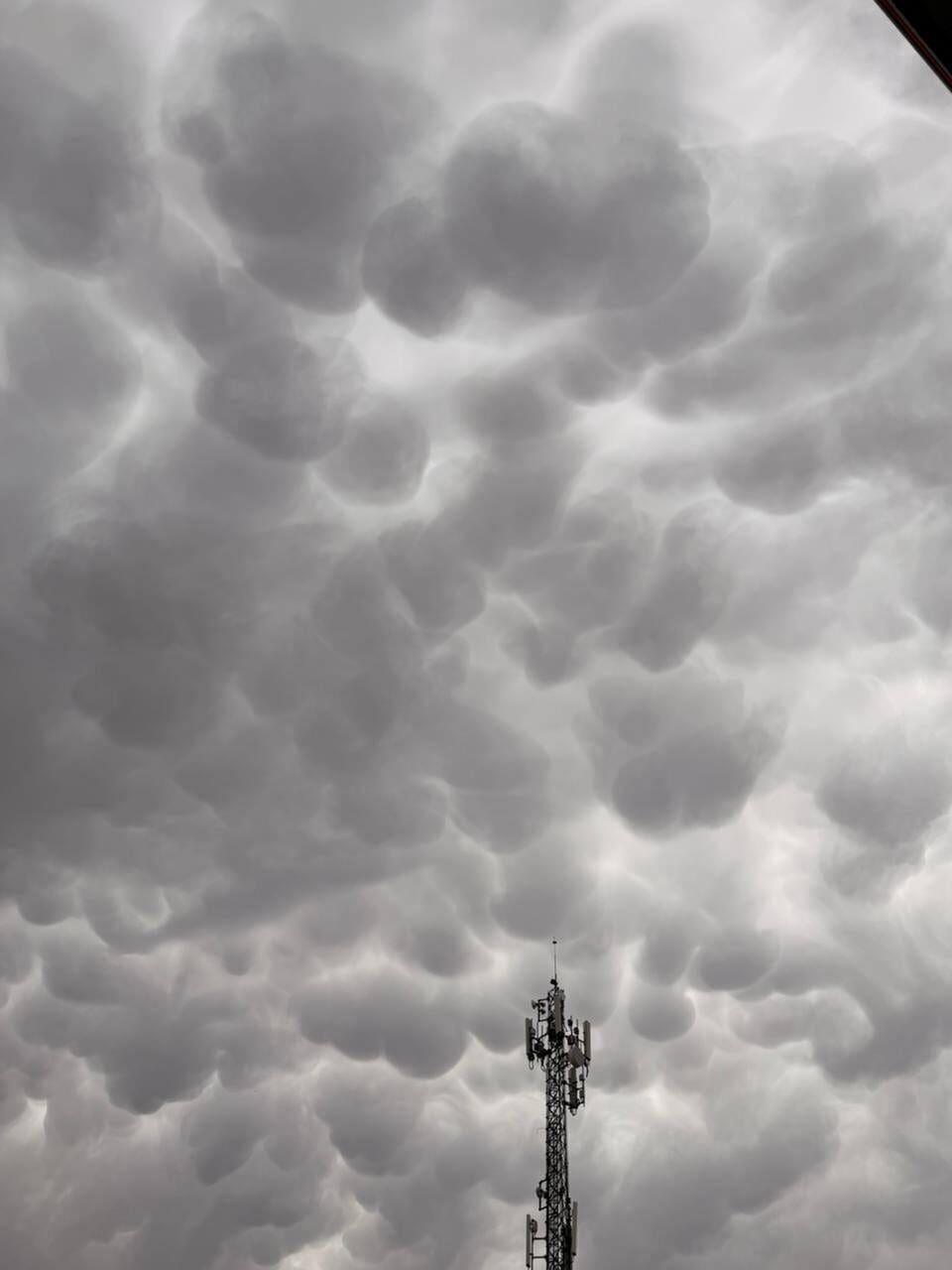 Ciudadanos de Chihuahua captaron nubes mammatus en el cielo de la capital, un fenómeno meteorológico que suele anticipar lluvias o tormentas. Las fotografías muestran grandes formaciones de nubes grises y esponjosas que cubrieron el cielo esta mañana.
