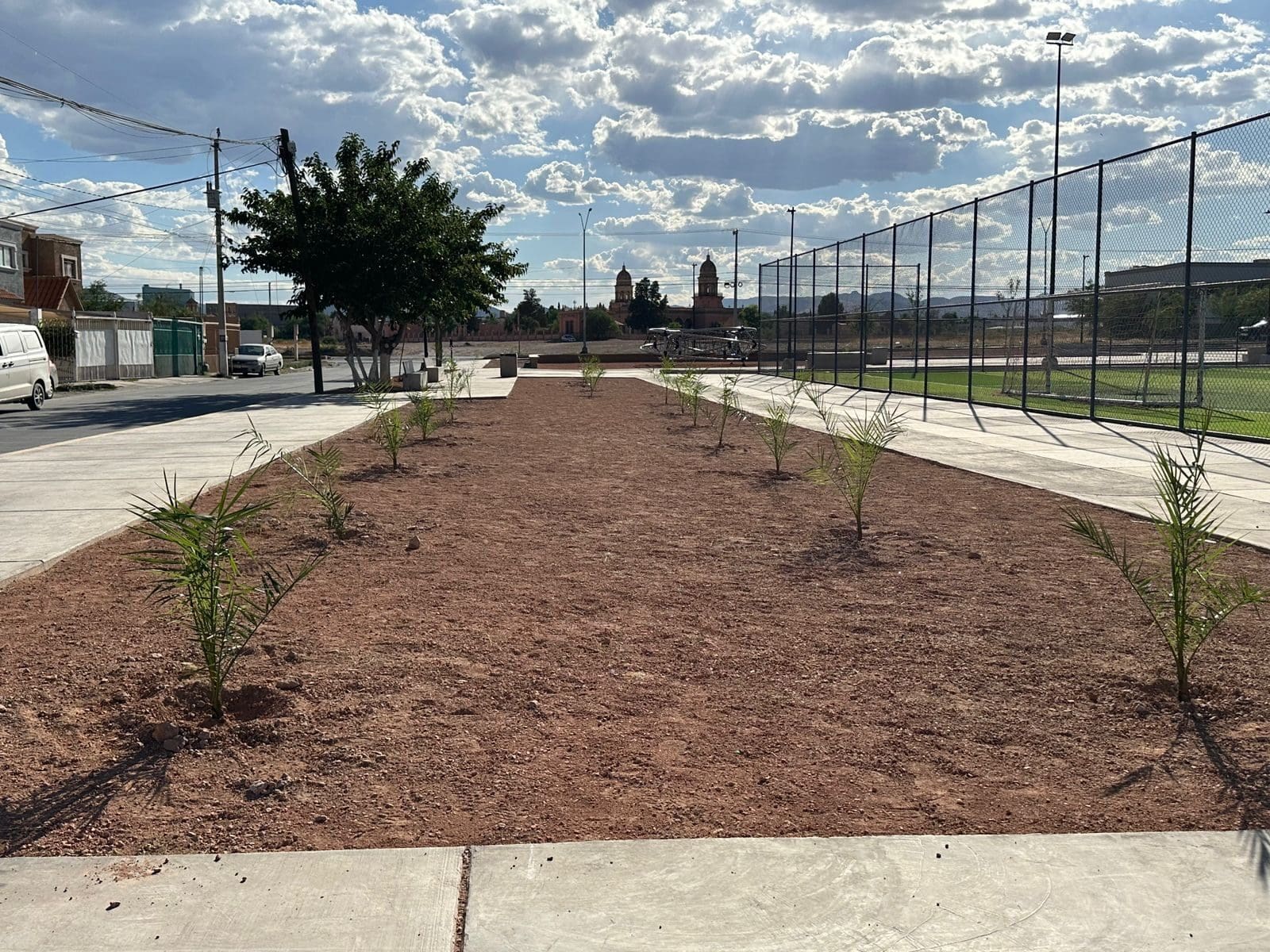 Grupos de scouts plantan 100 árboles de bajo consumo en el Polideportivo Luis H. Álvarez para mejorar el entorno y generar áreas verdes sustentables.