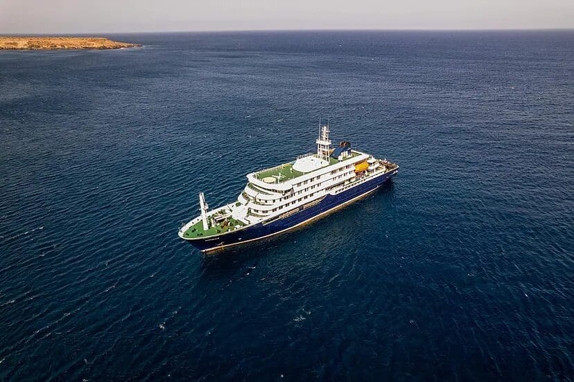 La OMS confirmó siete casos de hantavirus en el crucero MV Hondius con tres muertos y posible transmisión entre personas. Casi 150 pasajeros varados frente a Cabo Verde. Conoce todos los detalles del brote.
