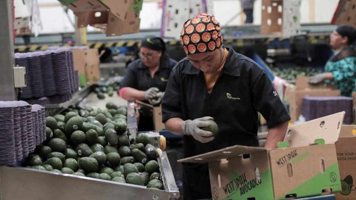 Un estudio de UCLA revela que los mexicanos en EU generan 2.27 billones de dólares, la octava economía mundial. La deportación masiva sería el peor desastre económico autoinfligido de EU. Conoce todos los datos aquí.
