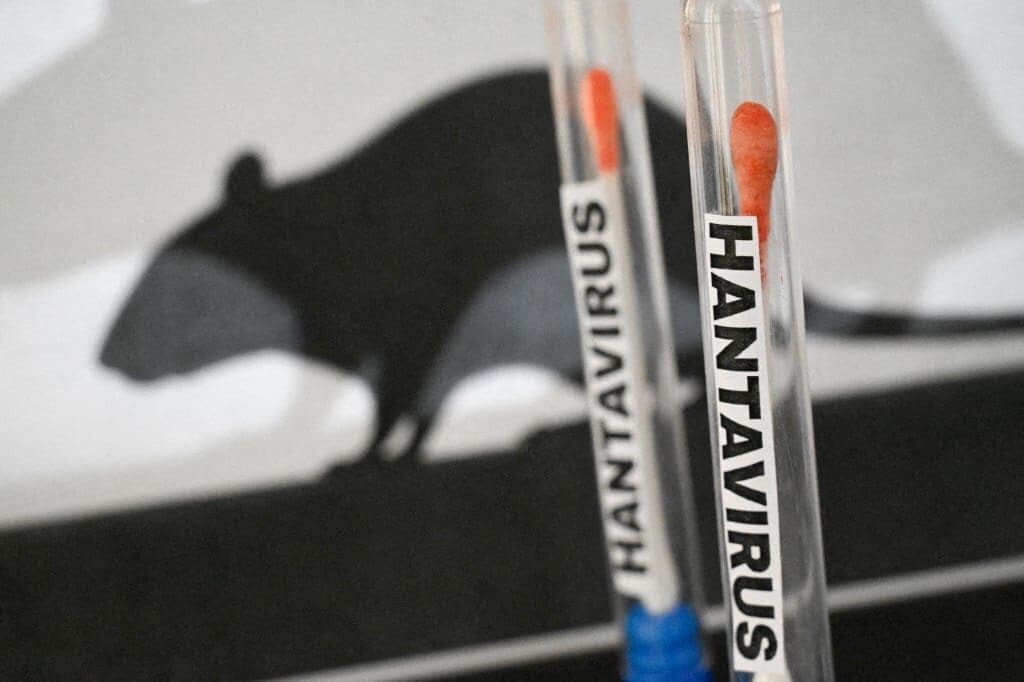 La OMS descartó el riesgo de pandemia por el brote de hantavirus en el crucero MV Hondius, donde murieron tres personas. El director general confirmó 8 casos y explicó por qué la transmisión entre humanos es extremadamente inusual. Conoce los detalles aquí.
