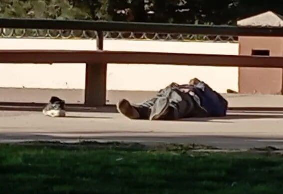 Un hombre de aproximadamente 70 años fue hallado sin vida este jueves en el Parque El Palomar de Chihuahua, junto a la estatua de Anthony Quinn. La FGE realiza las diligencias para determinar la causa del deceso. Conoce los detalles aquí.
