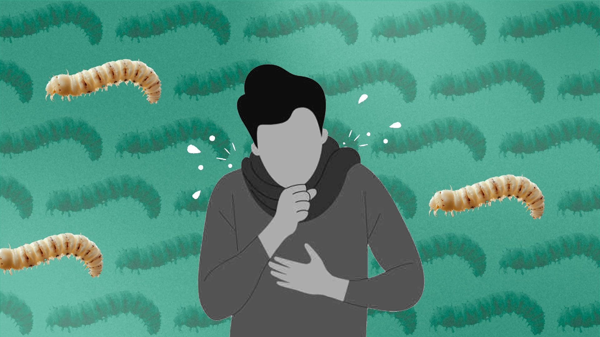 México confirmó 16 nuevos casos de gusano barrenador en humanos, elevando el total nacional a 412 contagios acumulados en diversas entidades del país.