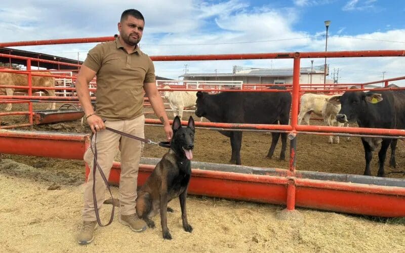 Chihuahua capacita veterinarios y binomios caninos para reforzar la detección del gusano barrenador del ganado.