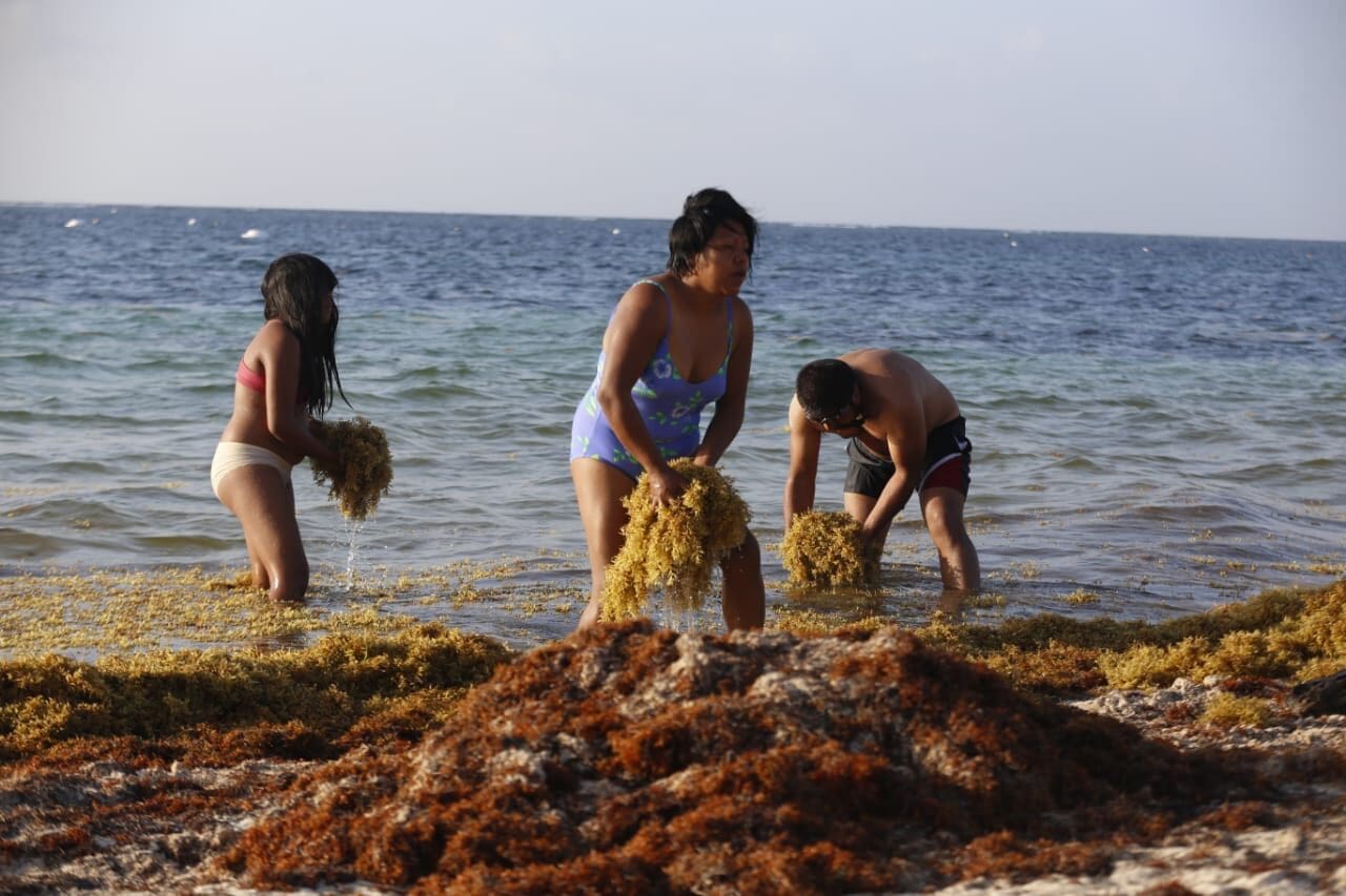 El Gobierno de México anunció un encuentro internacional en Cancún para coordinar acciones contra el sargazo con países del Caribe, Brasil y Japón.