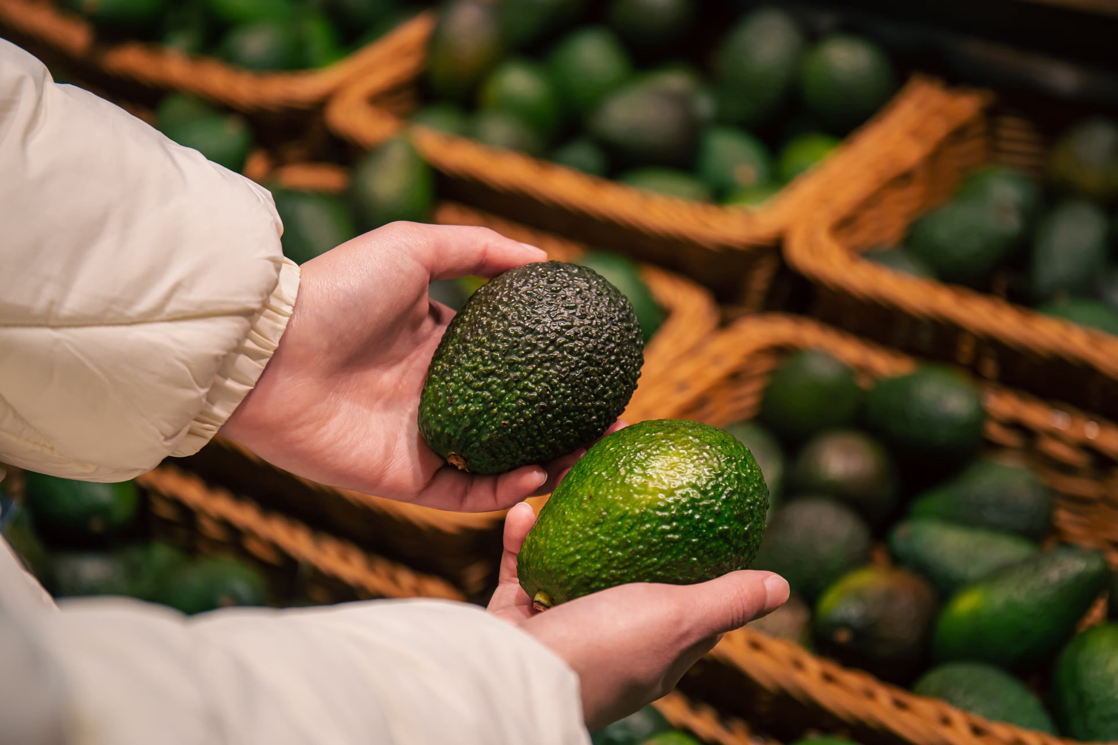 Sheinbaum confirmó amenazas contra inspectores de aguacate y chile para exportación a EU y anunció medidas de seguridad para reabrir empacadoras.